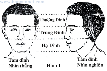 Ngũ nhạc trong tướng mặt